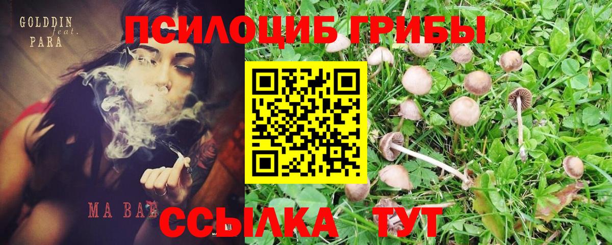 Карталы  Галлюциногенные грибы ЛСД  Вход с VPN 
